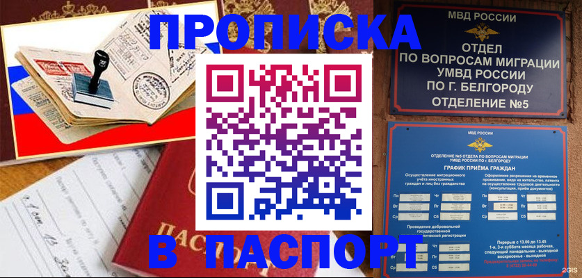 купить прописку в Красноярском крае